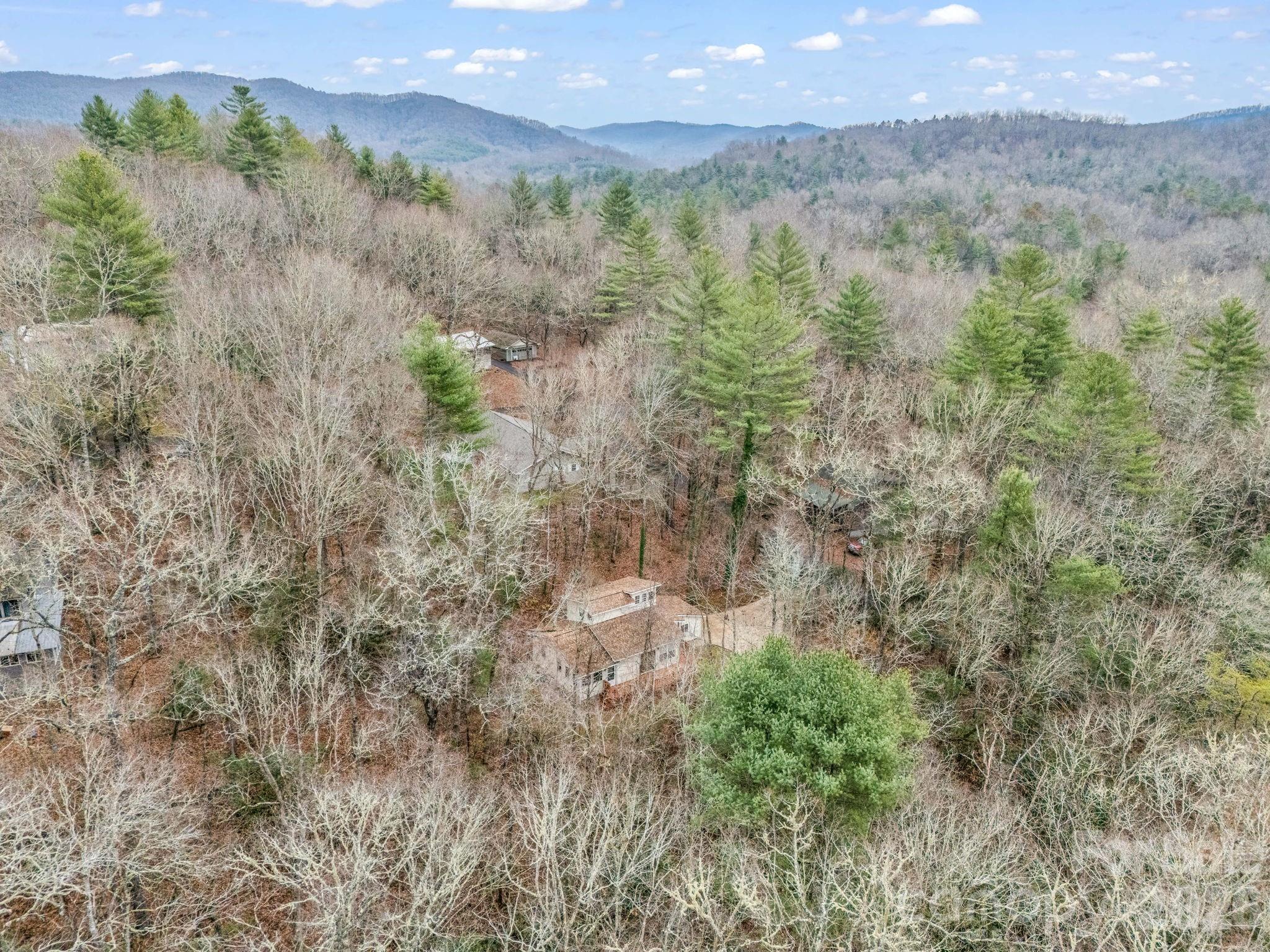 38 Renea Drive Brevard, NC 28712 - Photo 42 of 44 Gallery Image 42