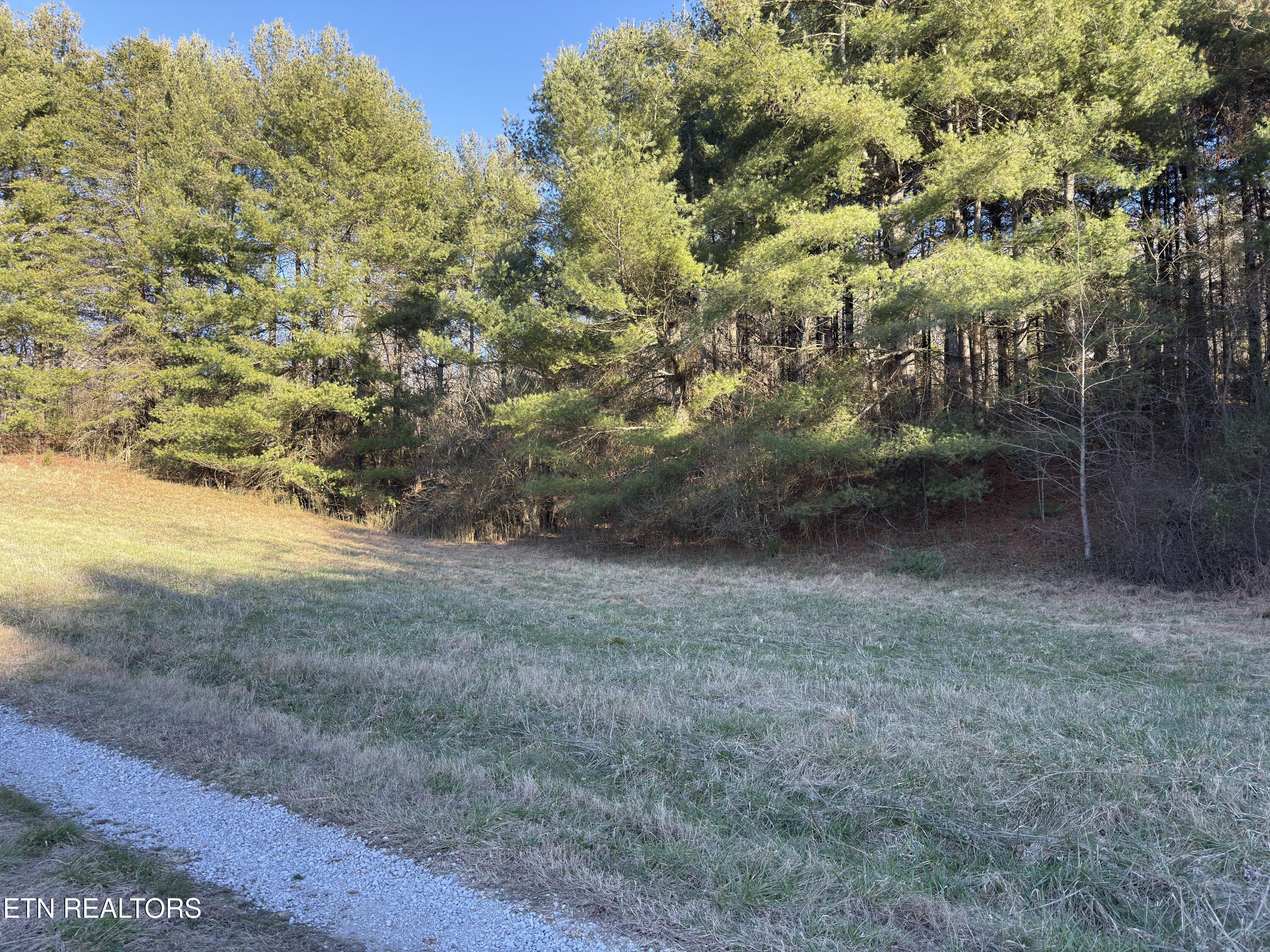 1811 James Ferry Road Kingston, TN 37763 - Photo 3 of 6 Mark Banker Lot Pictures 3