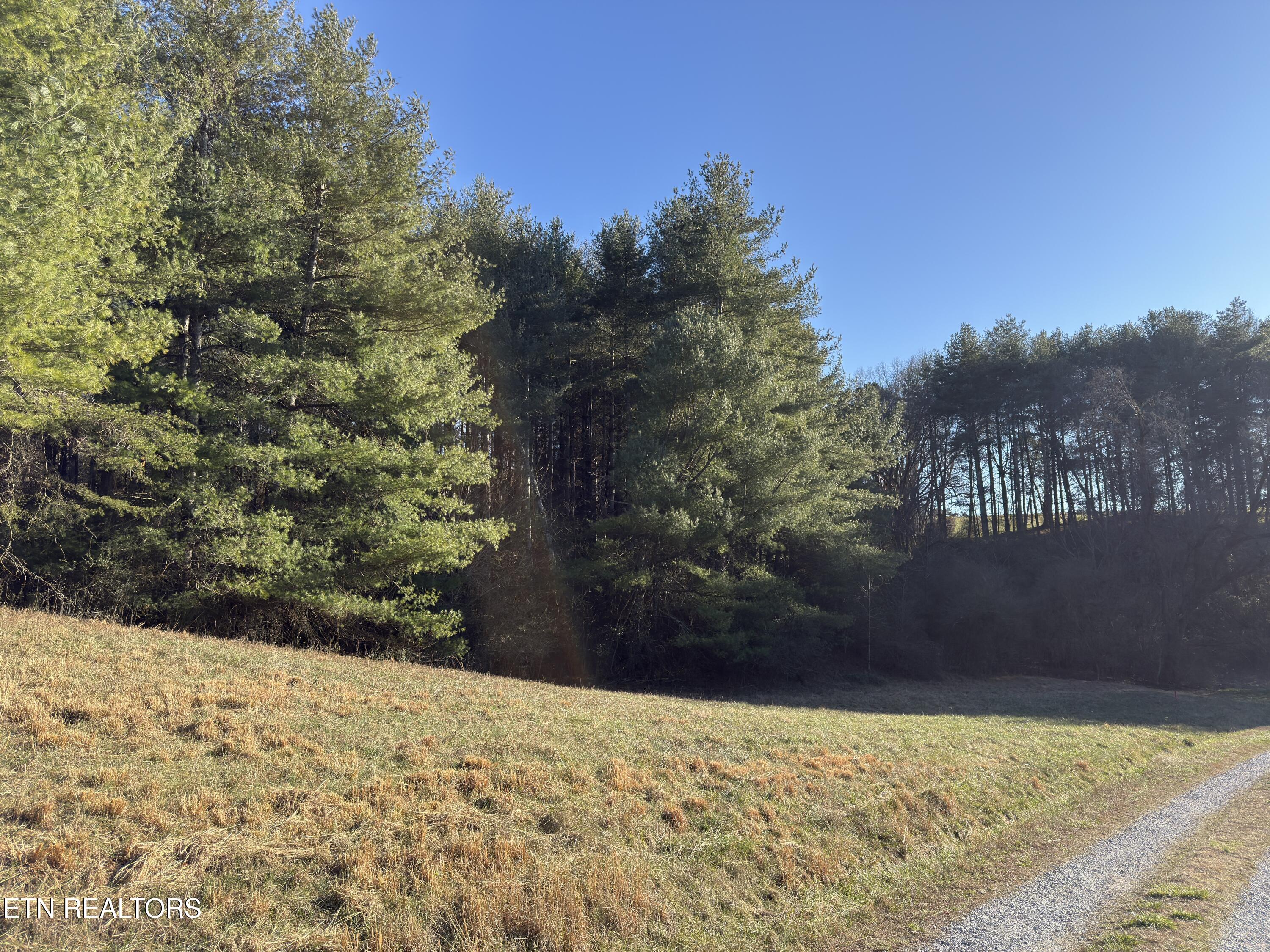 1811 James Ferry Road Kingston, TN 37763 - Photo 4 of 6 Mark Banker Lot Pictures 2