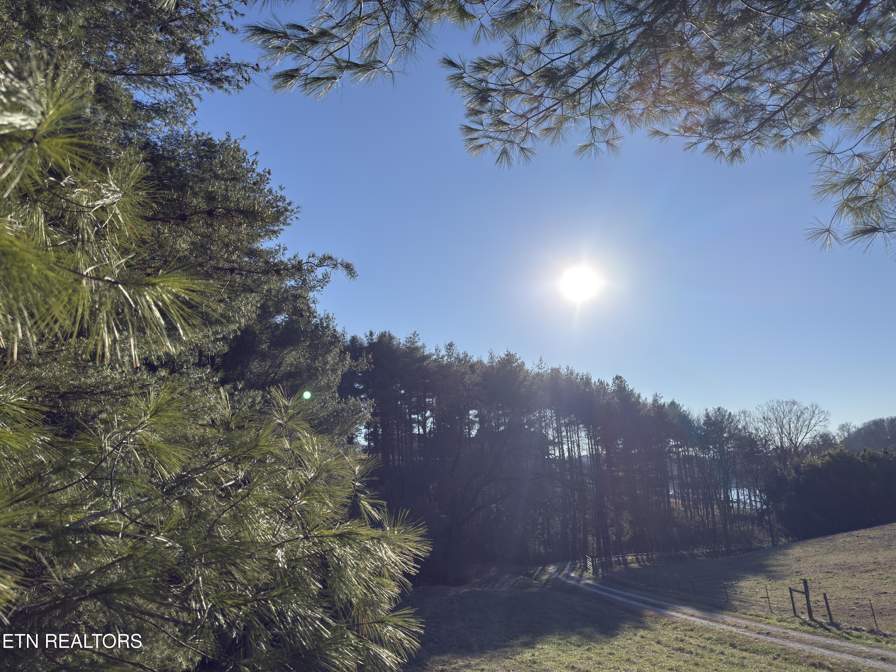 1811 James Ferry Road Kingston, TN 37763 - Photo 6 of 6 Mark Banker Lot Pictures 1