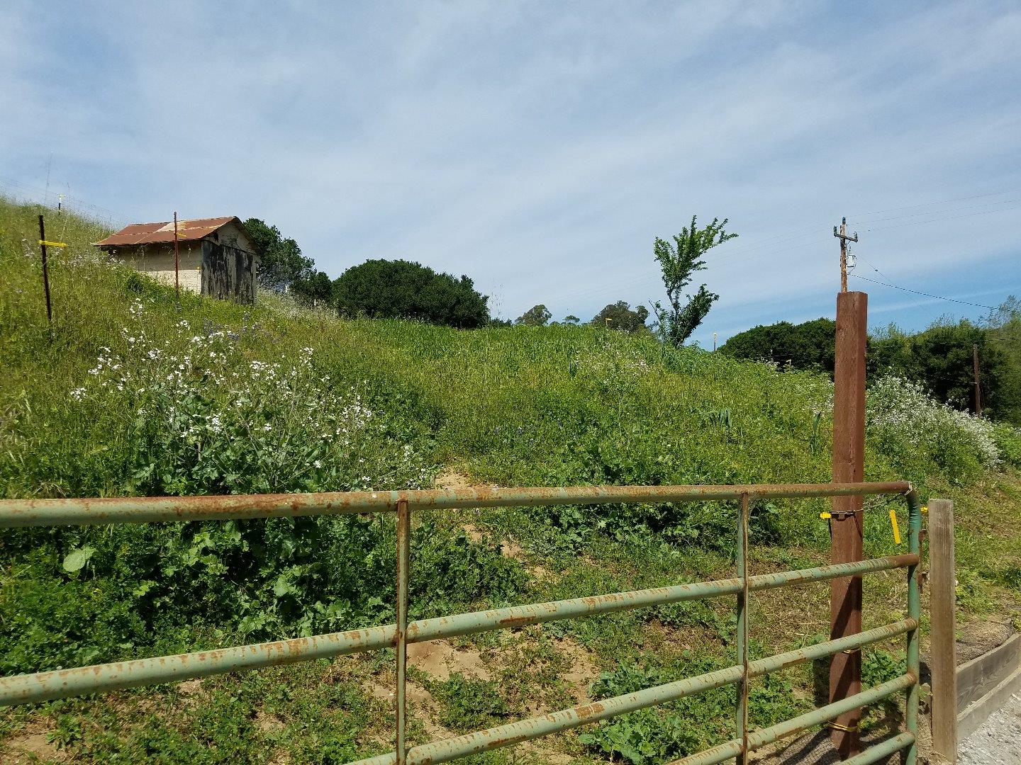 78 Valley Road Castroville, CA 95012 - Photo 23 of 27 Gallery Image 23
