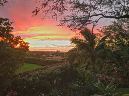 a view of mountain view with lots of trees