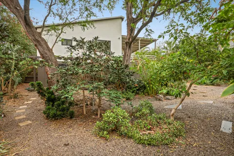 a view of a pathway of a yard