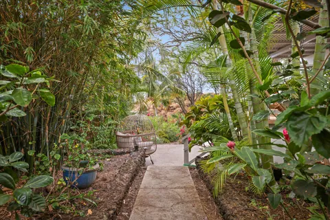 a view of a pathway with a tree in front of it