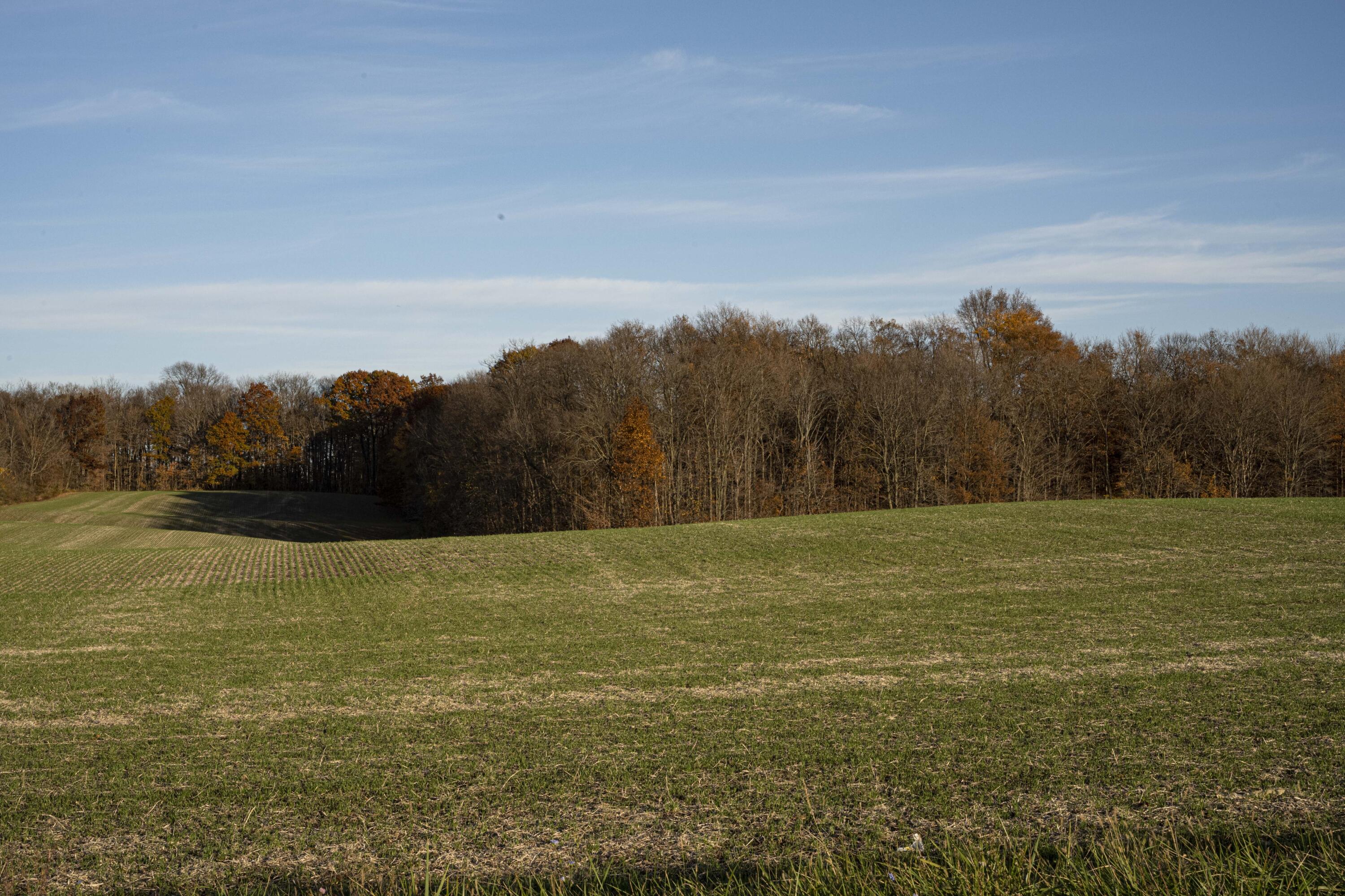 0 Gardner Road Galien, MI 49113 - Photo 3 of 18 REN_2546