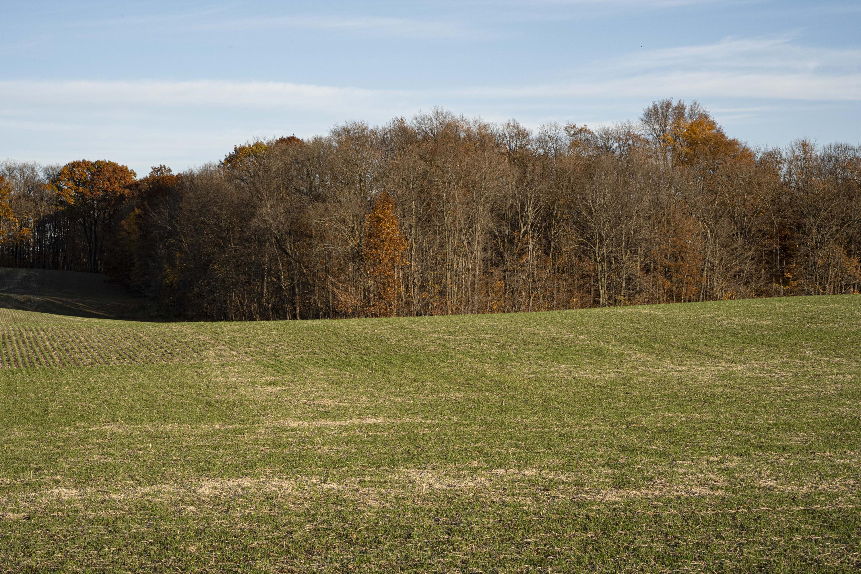 0 Gardner Road Galien, MI 49113 - Photo 5 of 18 REN_2548