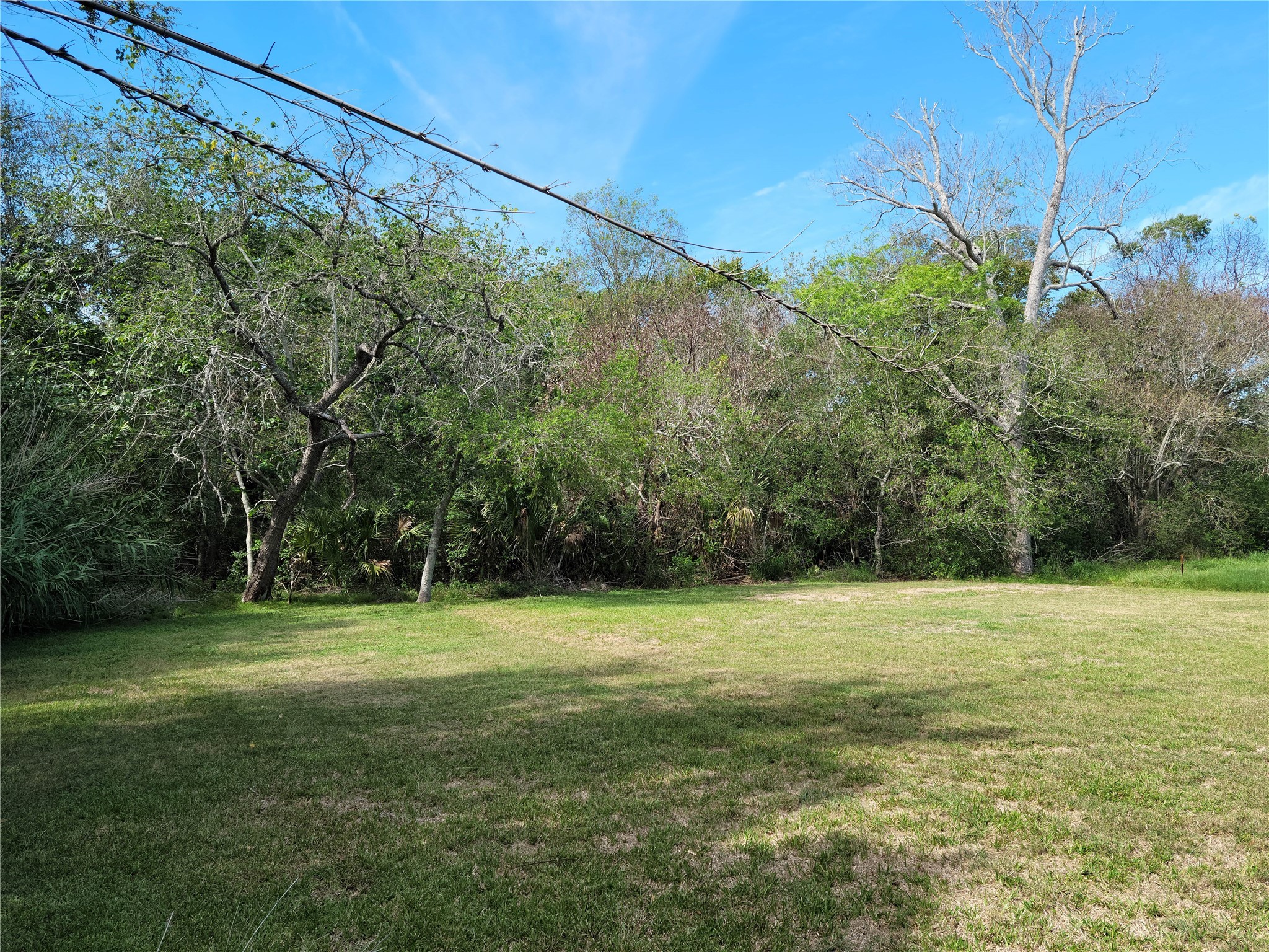 3309 Todville Road Seabrook, TX 77586 - Photo 3 of 7