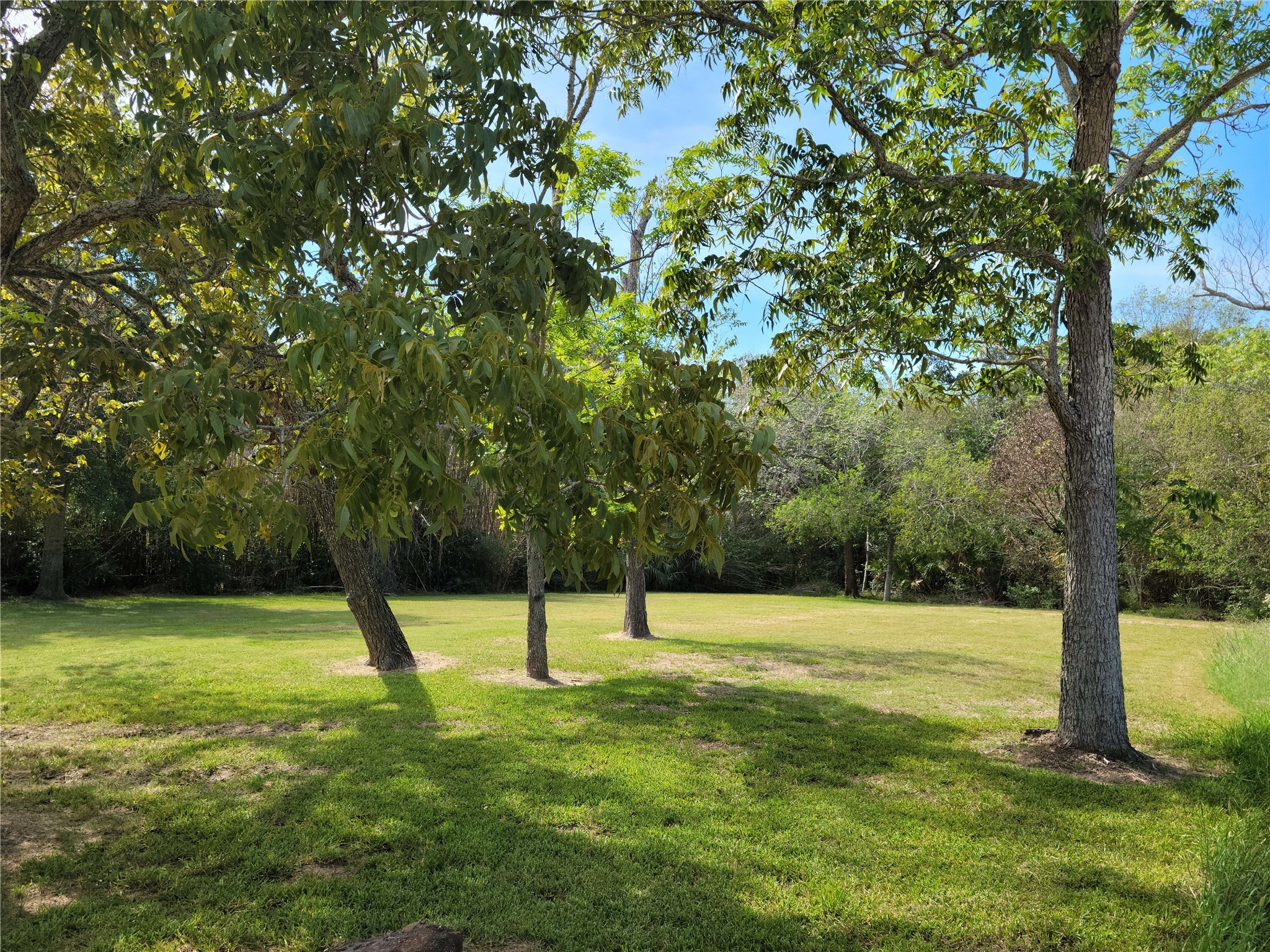 3309 Todville Road Seabrook, TX 77586 - Photo 5 of 7