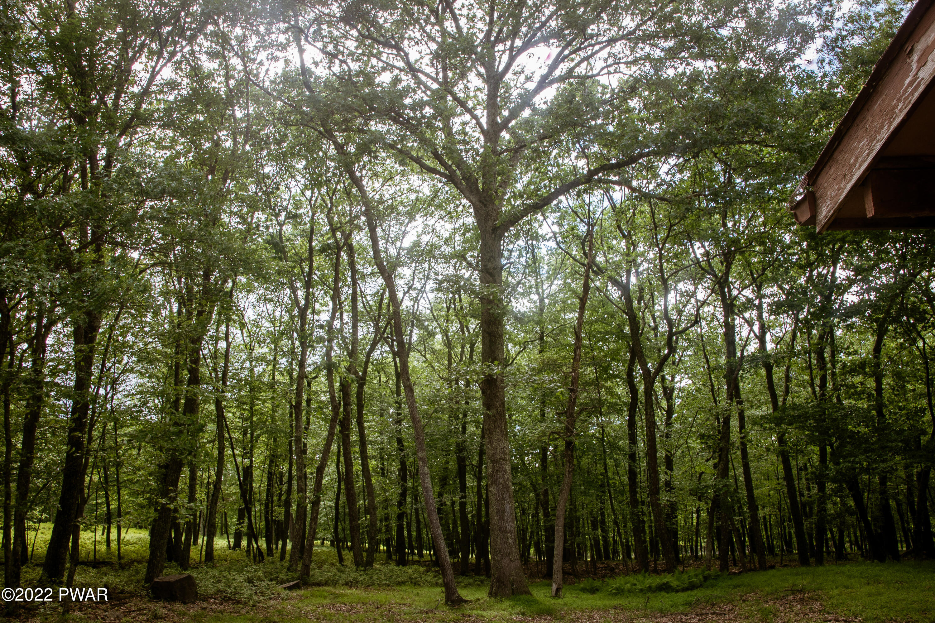 375 Mallard Lane Bushkill, PA 18324 - Photo 26 of 28 a view of a yard with a trees