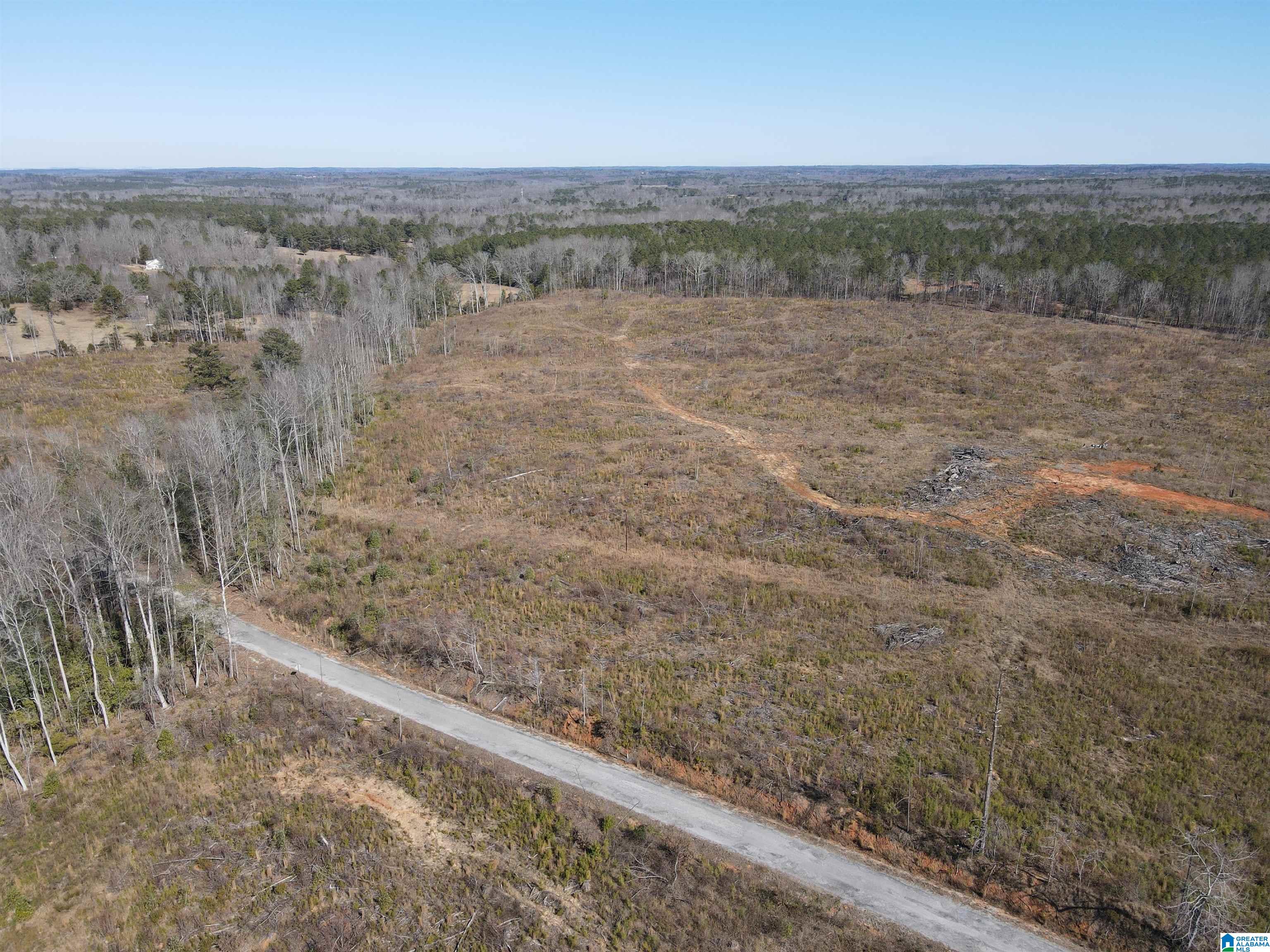 2 County Road 36, Unit 2 Randolph, AL 36792 - Photo 5 of 6