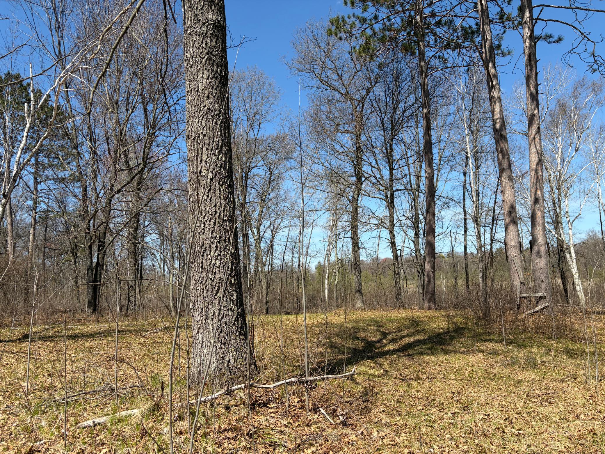 7 Miramar Road Spooner, WI 54801 - Photo 9 of 10