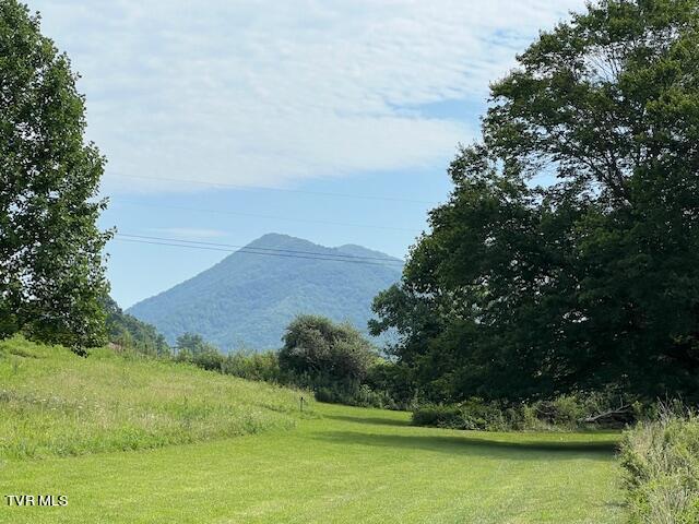 174 Mountain View Lane Butler, TN 37640 - Photo 29 of 30 IMG_3549