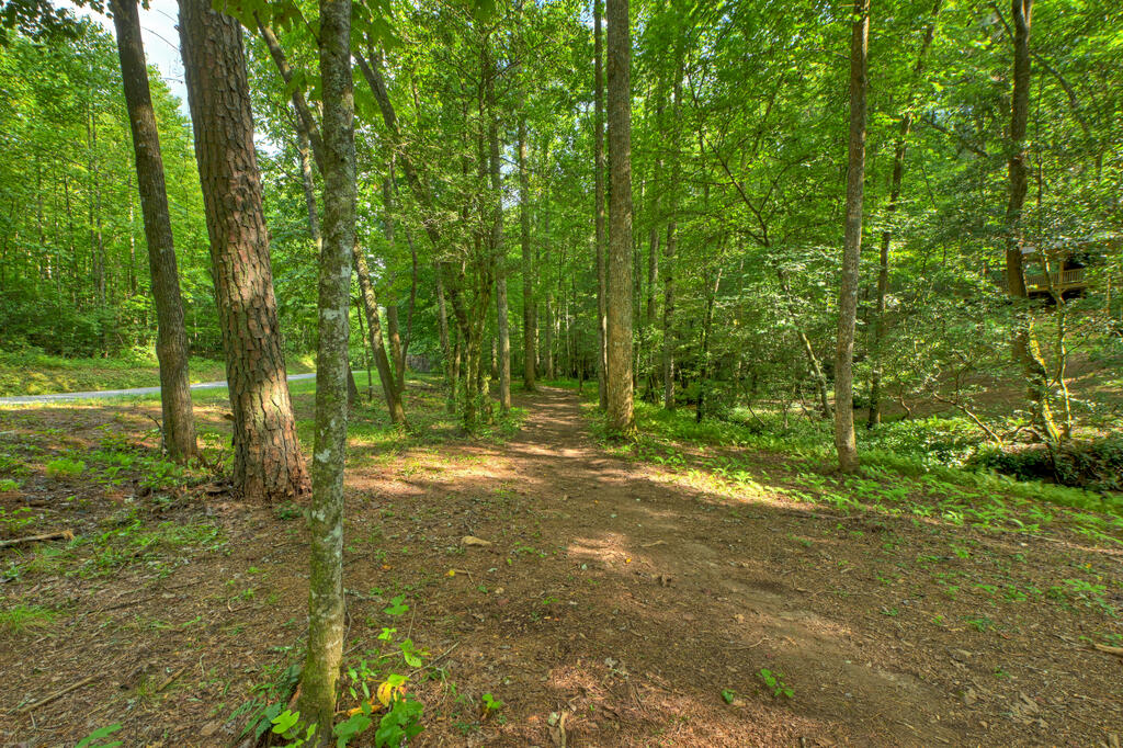 685 Chopped Oak Road Ellijay, GA 30540 - Photo 13 of 46 Gallery Image 13