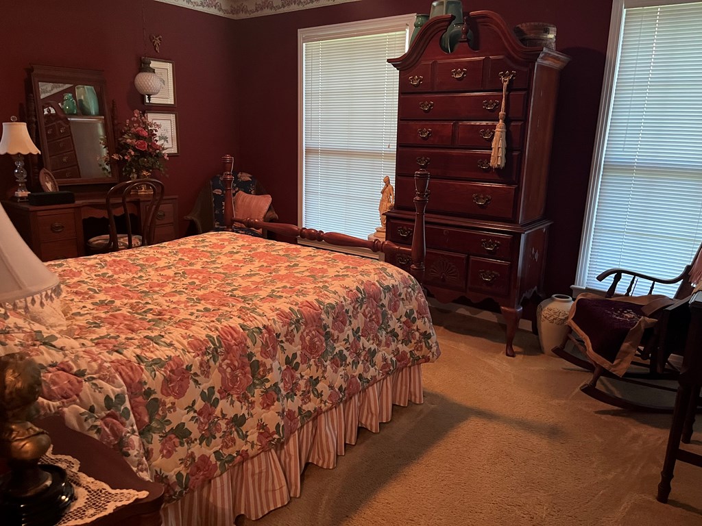 1638 Highway 87 Samson, AL 36477 - Photo 10 of 13