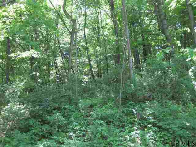 Shyne Road Troy, NY 12180 - Photo 1 of 2 Photo 1