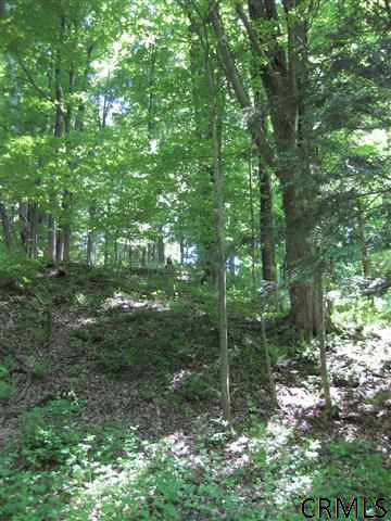 Shyne Road Troy, NY 12180 - Photo 2 of 2 Photo 2