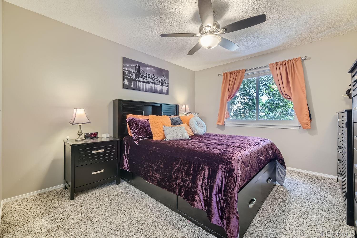 591 James Street Highlands Ranch, CO 80126 - Photo 7 of 20 Gallery Image 7