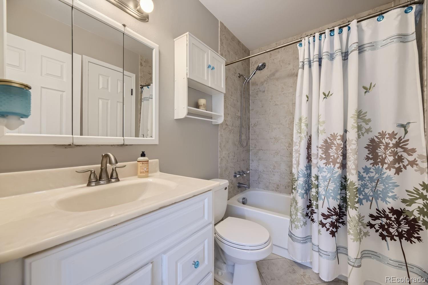 591 James Street Highlands Ranch, CO 80126 - Photo 9 of 20 Gallery Image 9