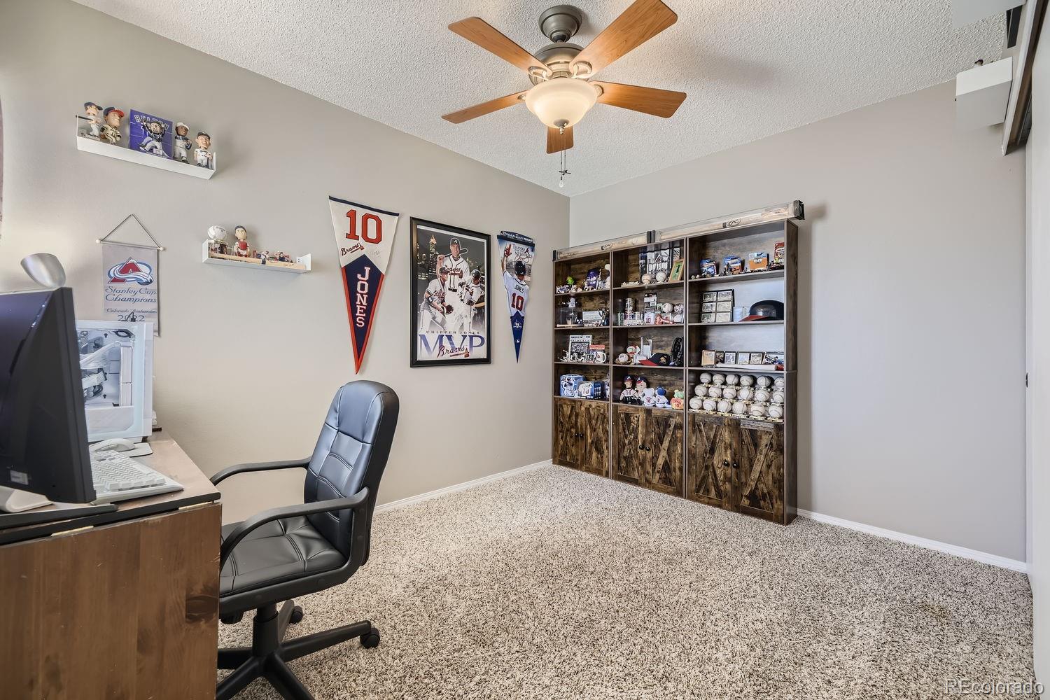 591 James Street Highlands Ranch, CO 80126 - Photo 10 of 20 Gallery Image 10