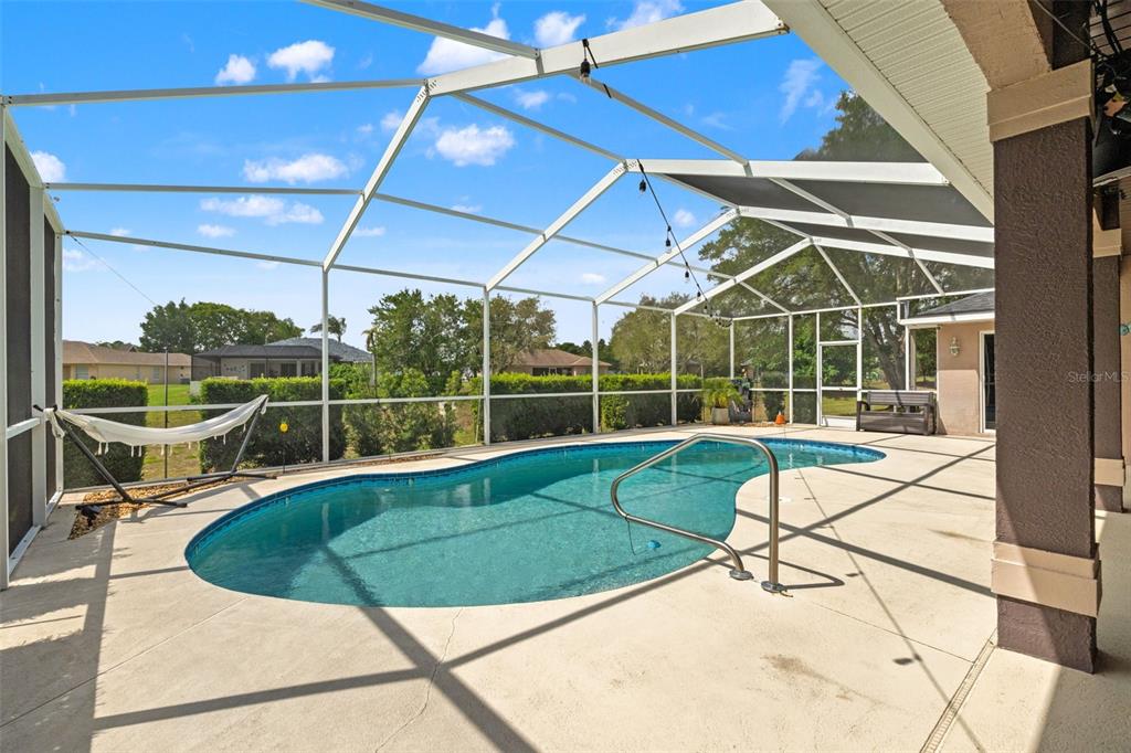 10327 Velvetseed Circle Spring Hill, FL 34608 - Photo 44 of 60