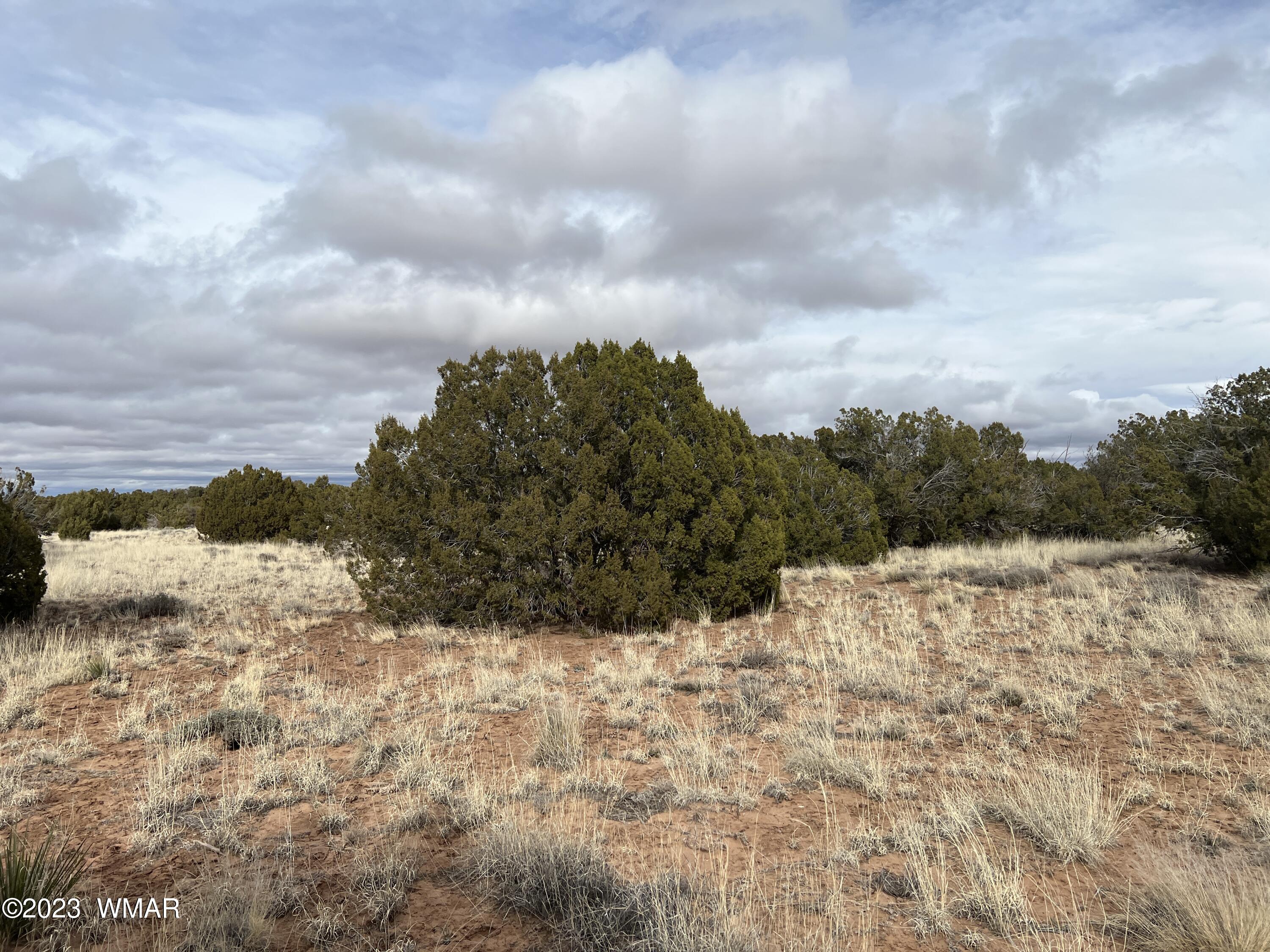 4053 East Pinto Road Snowflake, AZ 85937 - Photo 6 of 11 IMG_8375