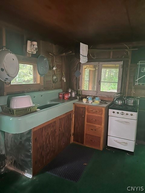 895 Uncas Road Raquette Lake, NY 13436 - Photo 5 of 5