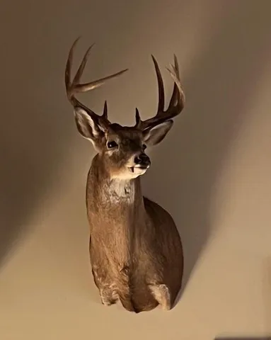 $525,000 | 140 Northwest 1501st Road, Urich, MO 64788