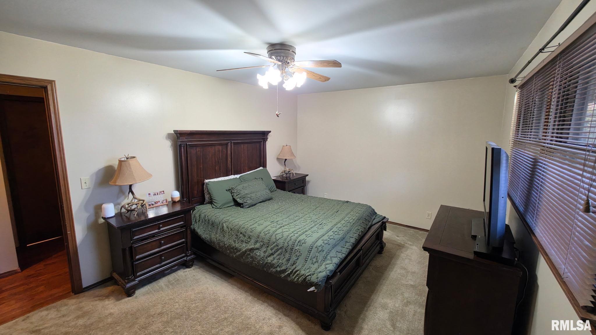 2229 Town Creek Road Murphysboro, IL 62966 - Photo 14 of 27