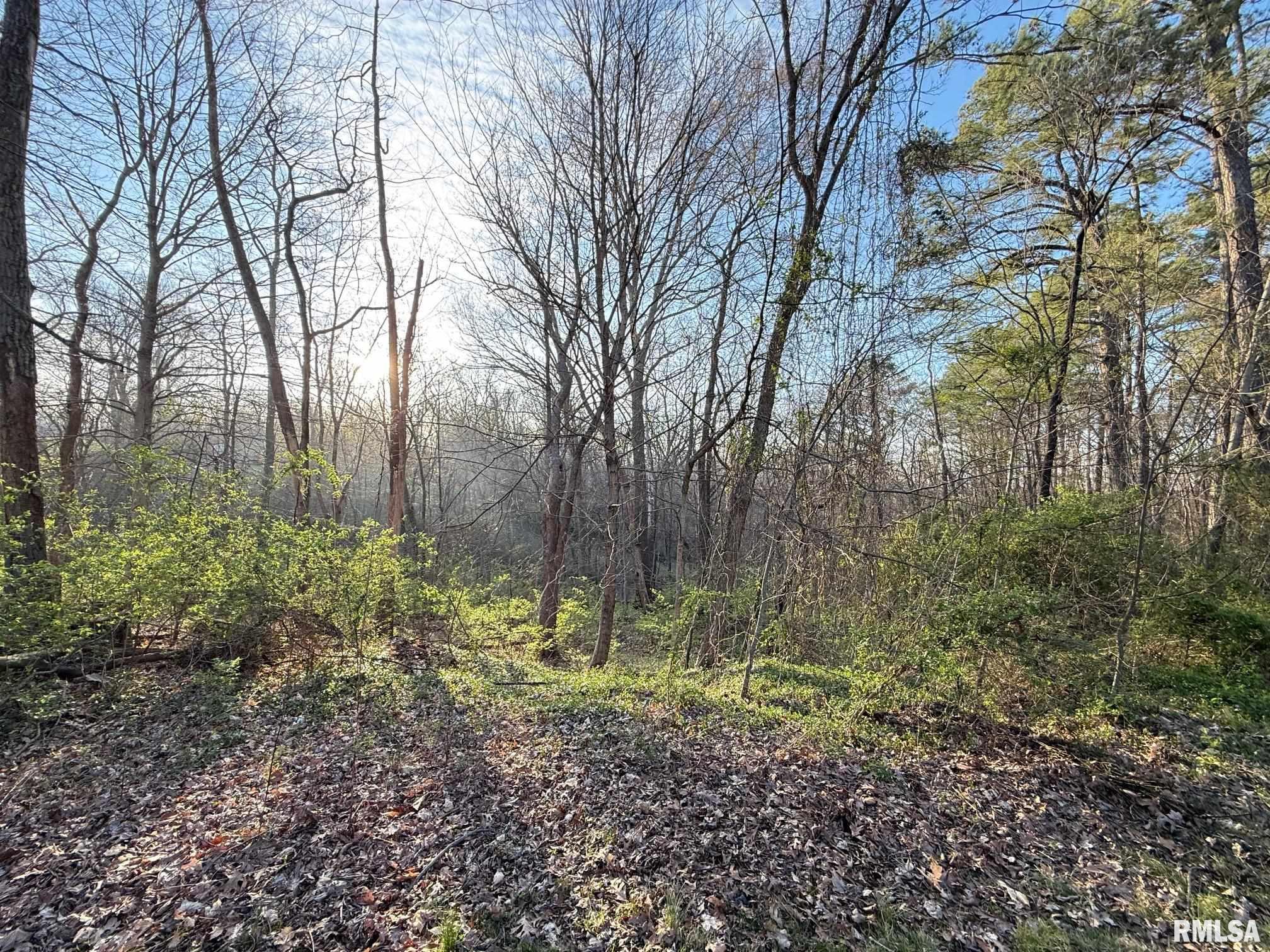 2229 Town Creek Road Murphysboro, IL 62966 - Photo 27 of 27