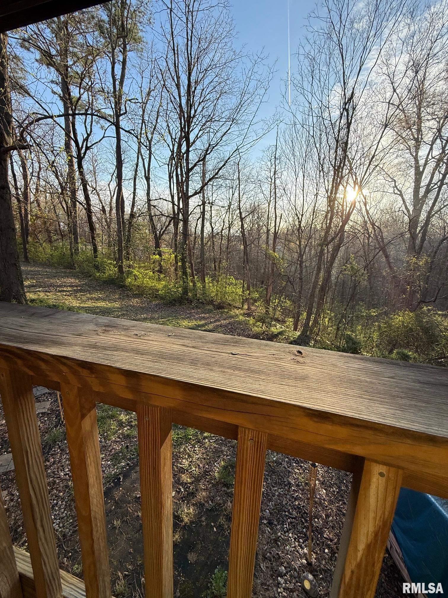 2229 Town Creek Road Murphysboro, IL 62966 - Photo 8 of 27