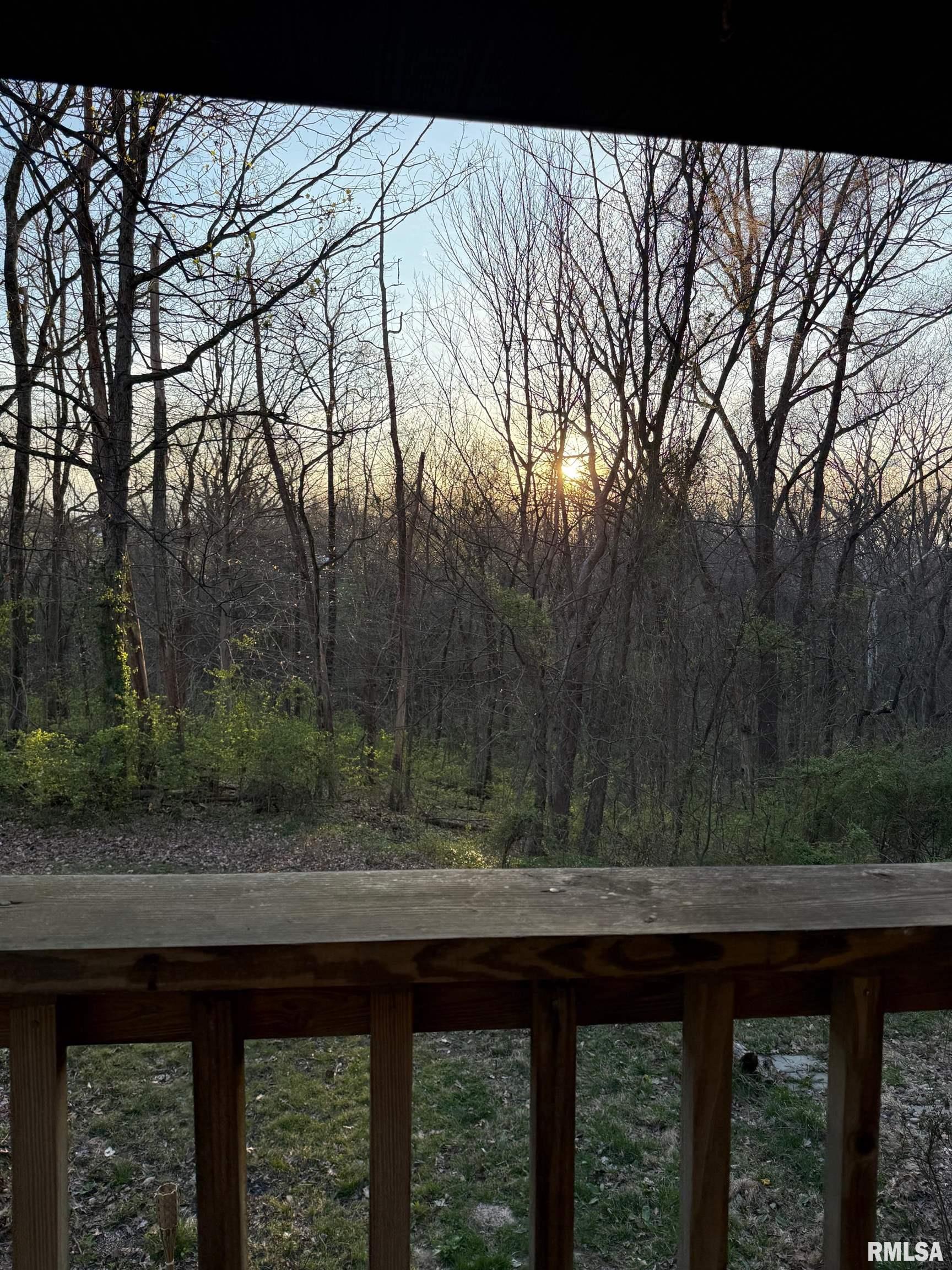 2229 Town Creek Road Murphysboro, IL 62966 - Photo 9 of 27