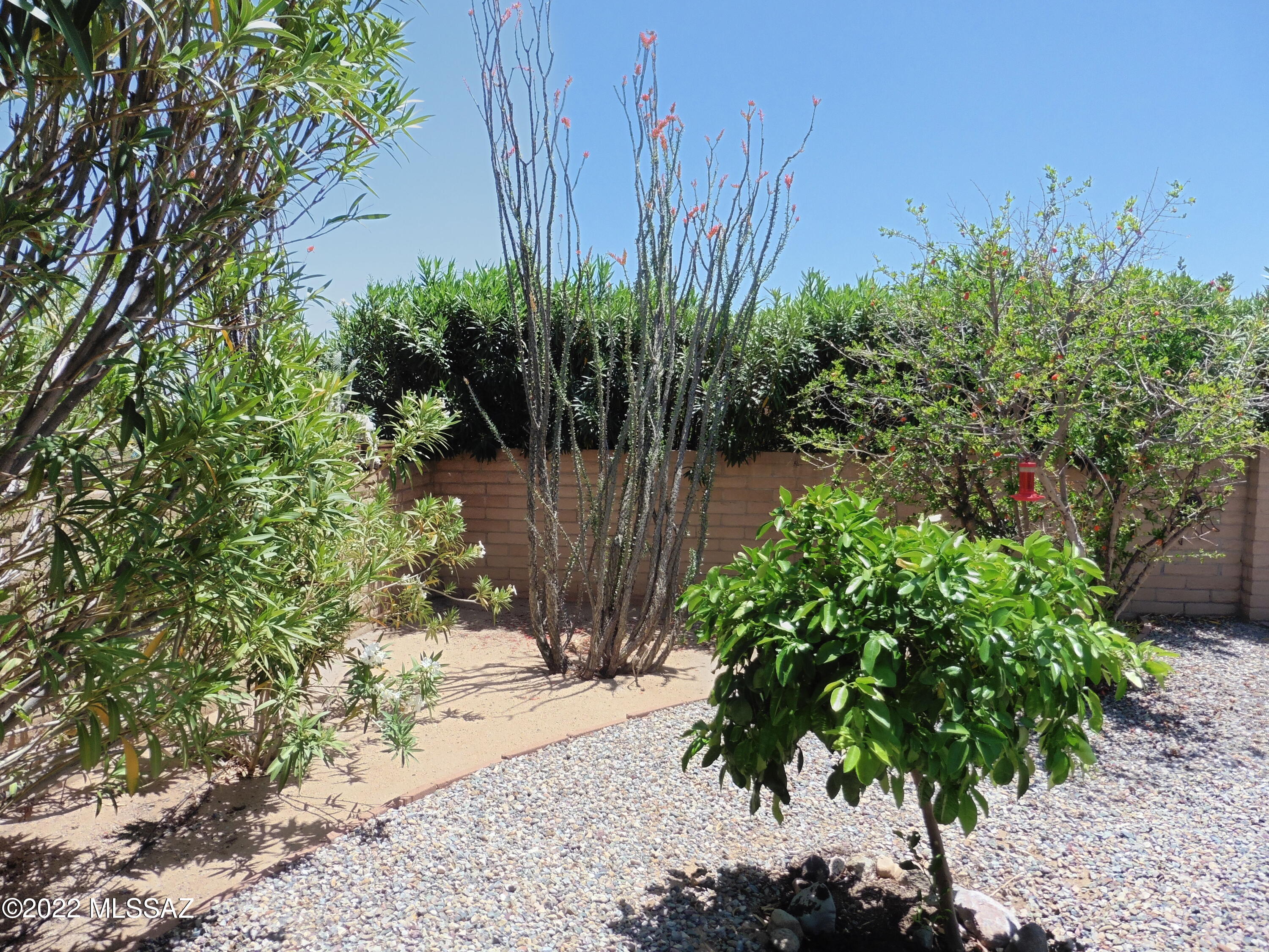 481 West Rio-Altar Green Valley, AZ 85614 - Photo 20 of 21 Gallery Image 20
