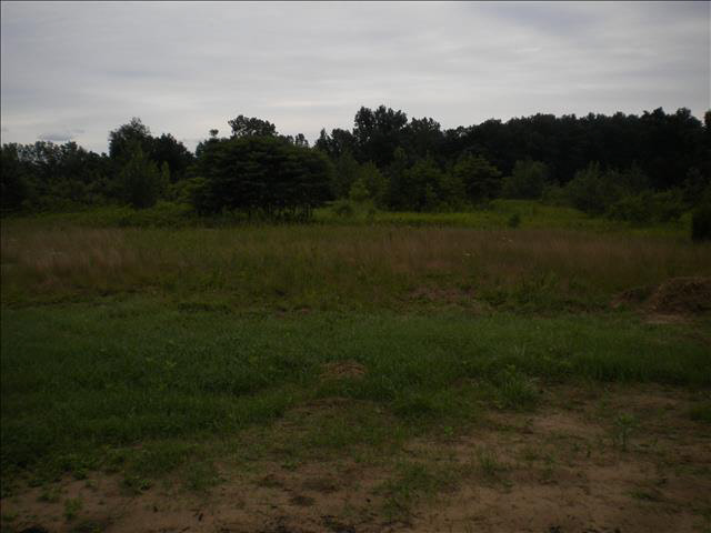 4829 Rauch Road Petersburg, MI 49270 - Photo 11 of 11 20366444-10.JPG