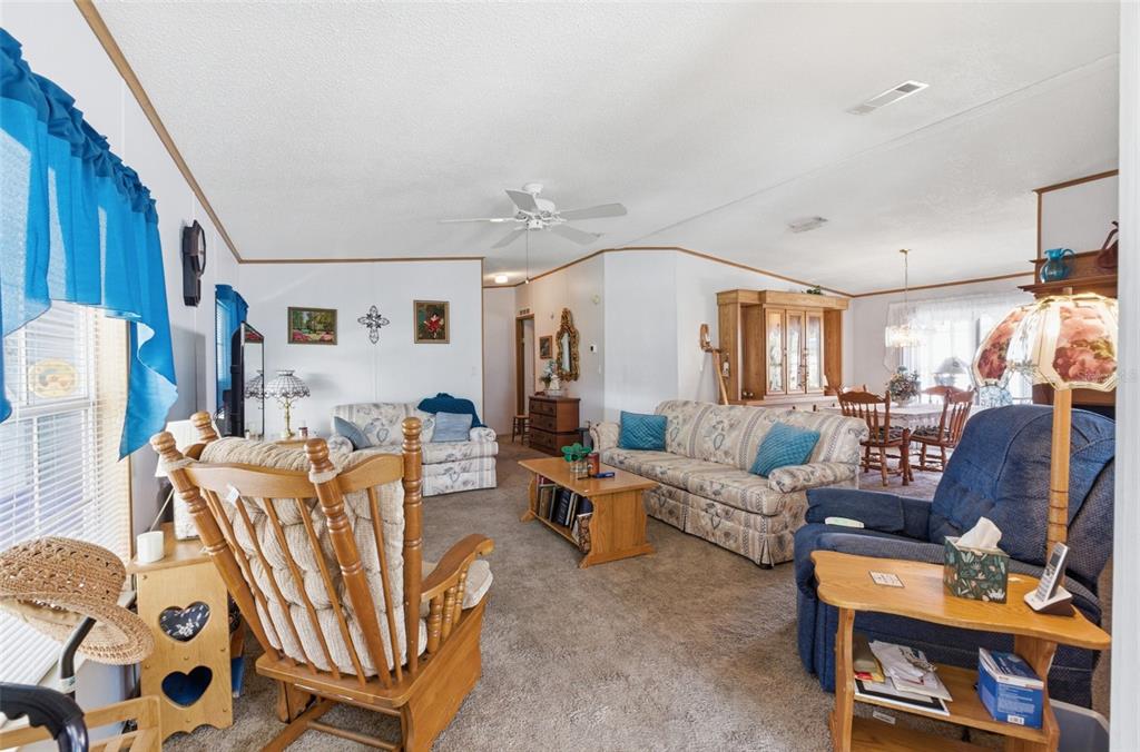 456 Santa Fe Road Tavares, FL 32778 - Photo 7 of 32