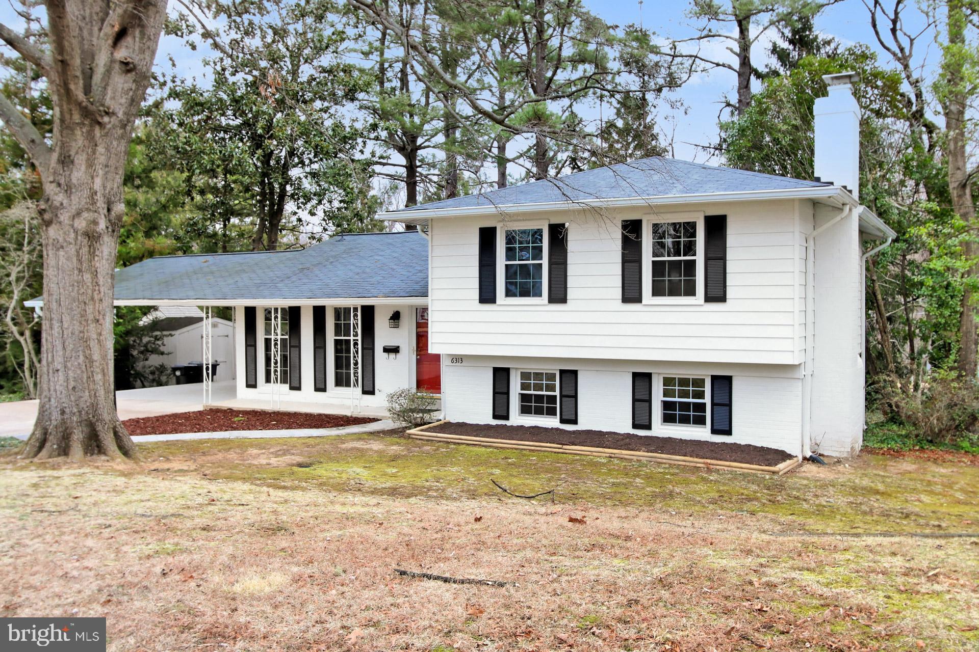 6313 Alberta Street Springfield, VA 22152 - Photo 2 of 45 Exterior freshly painted