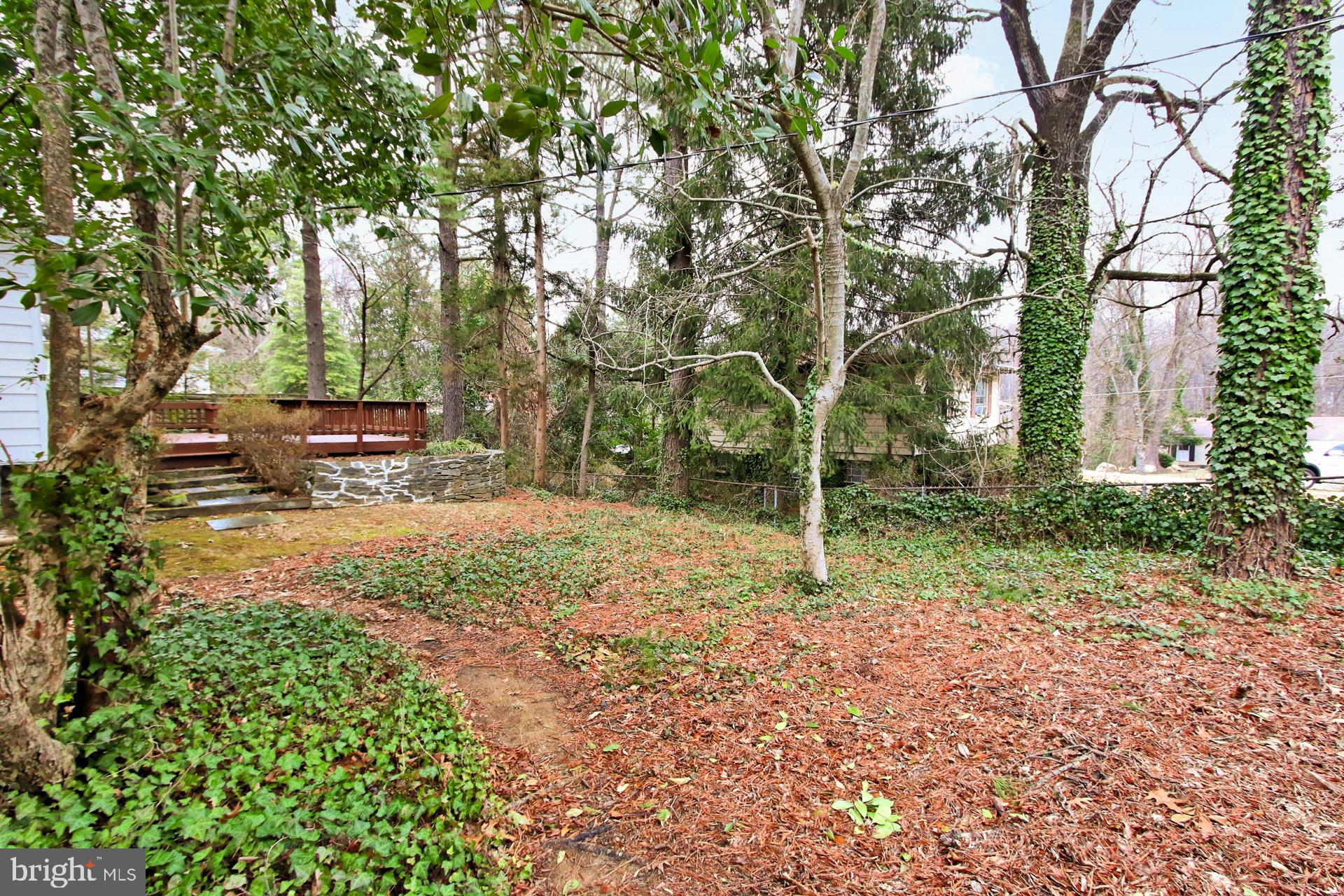 6313 Alberta Street Springfield, VA 22152 - Photo 43 of 45 Almost 1/3 acre lot