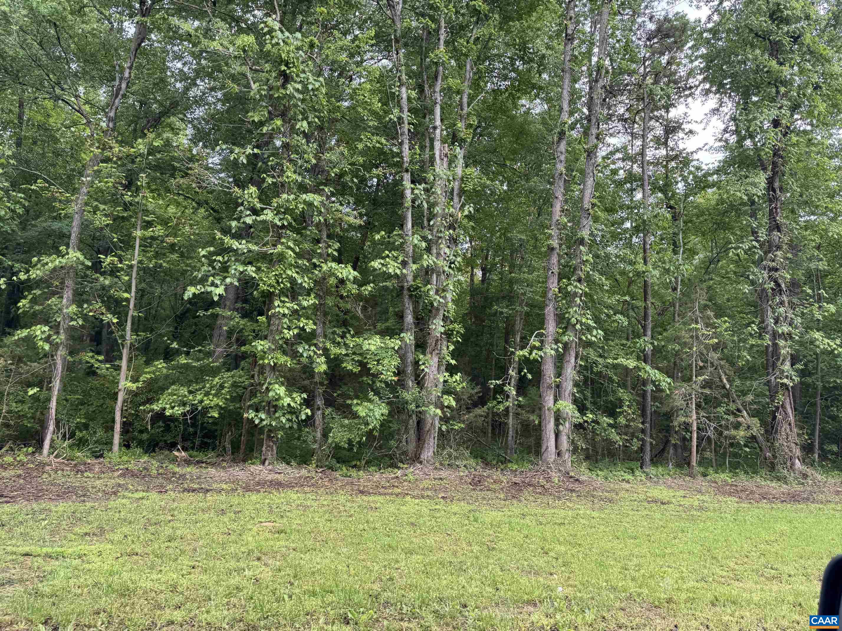0 Jack Jouett Road West Zion Crossroads, VA 22942 - Photo 2 of 3 a backyard of a house with lots of trees