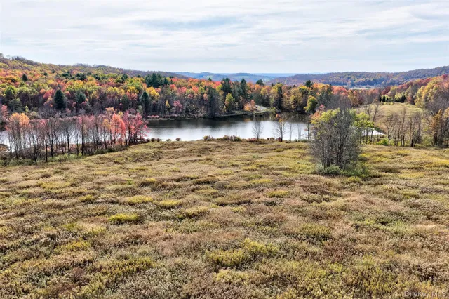 a view of a lake with a mountain in the background