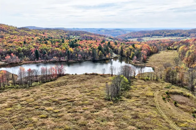 an aerial view of a house with a lake view