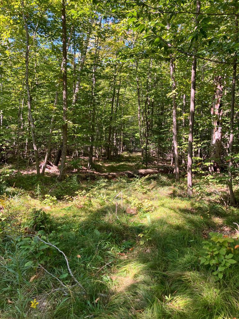 749 Isle View Road Ellison Bay, WI 54210 - Photo 5 of 9 Gallery Image 5