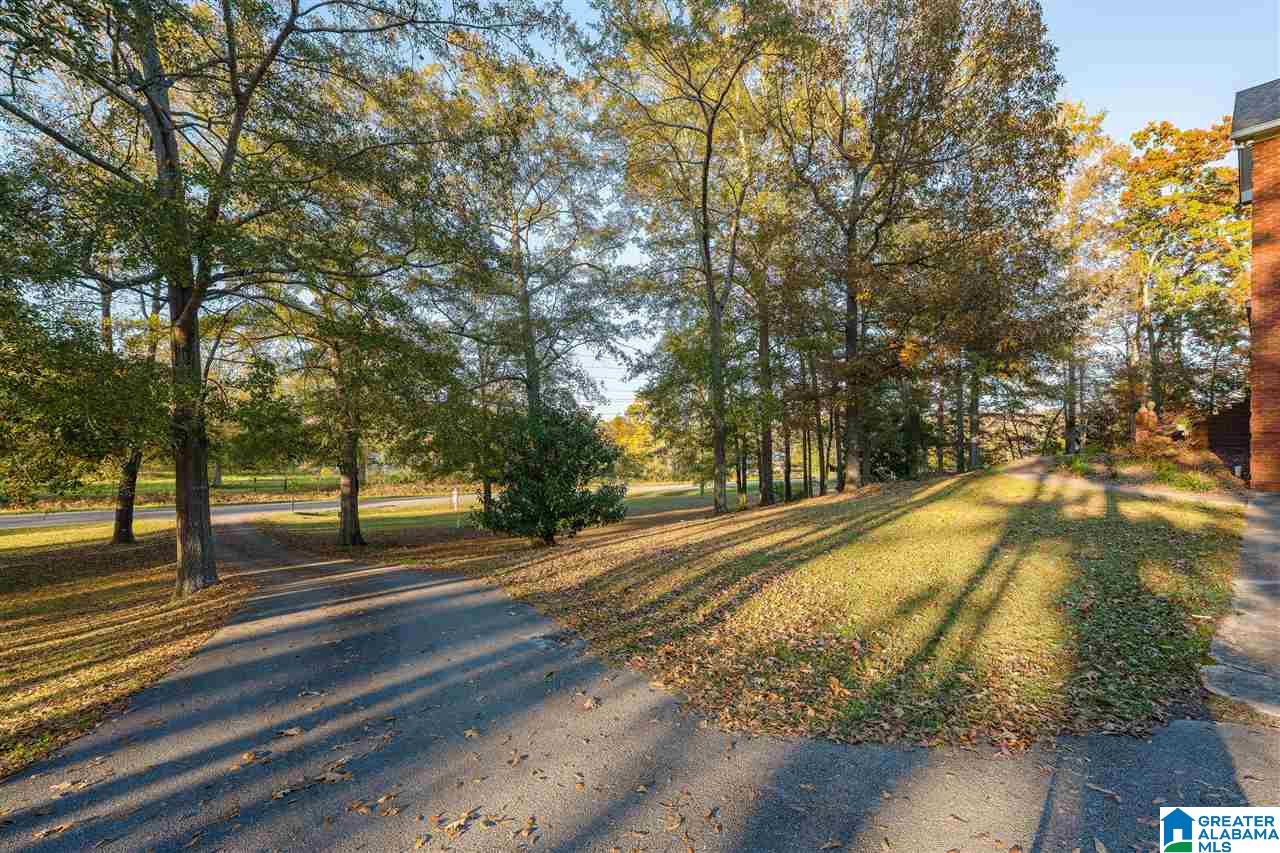 155 Old Margaret Road Odenville, AL 35120 - Photo 2 of 35