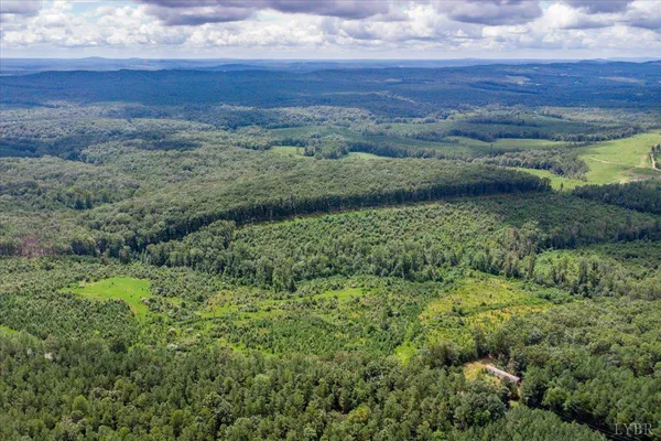 a view of a lush green forest with lots of trees