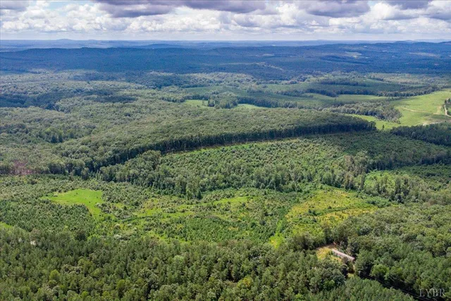 a view of a lush green forest with lots of trees
