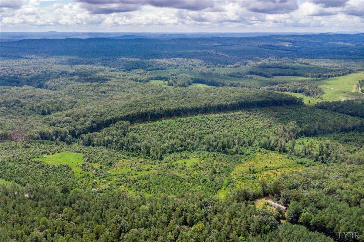 a view of a lush green forest with lots of trees