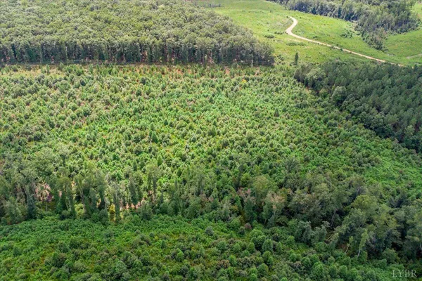 a view of a lake with a park