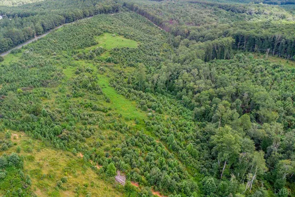 a view of a garden with a lake