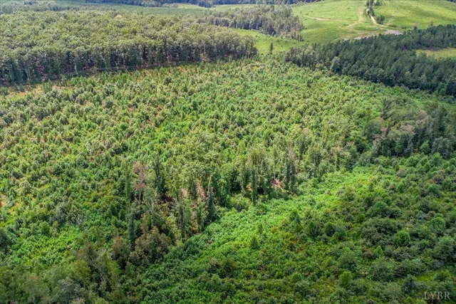 a view of a garden with a lake