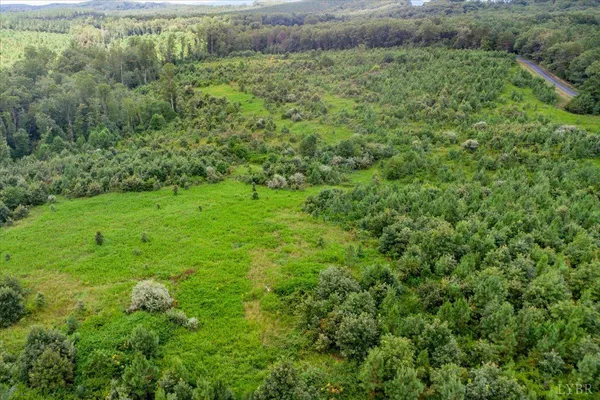 a view of a big yard with large trees