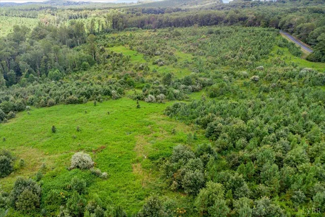 a view of a big yard with large trees