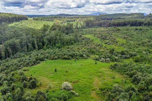 a view of a lush green space